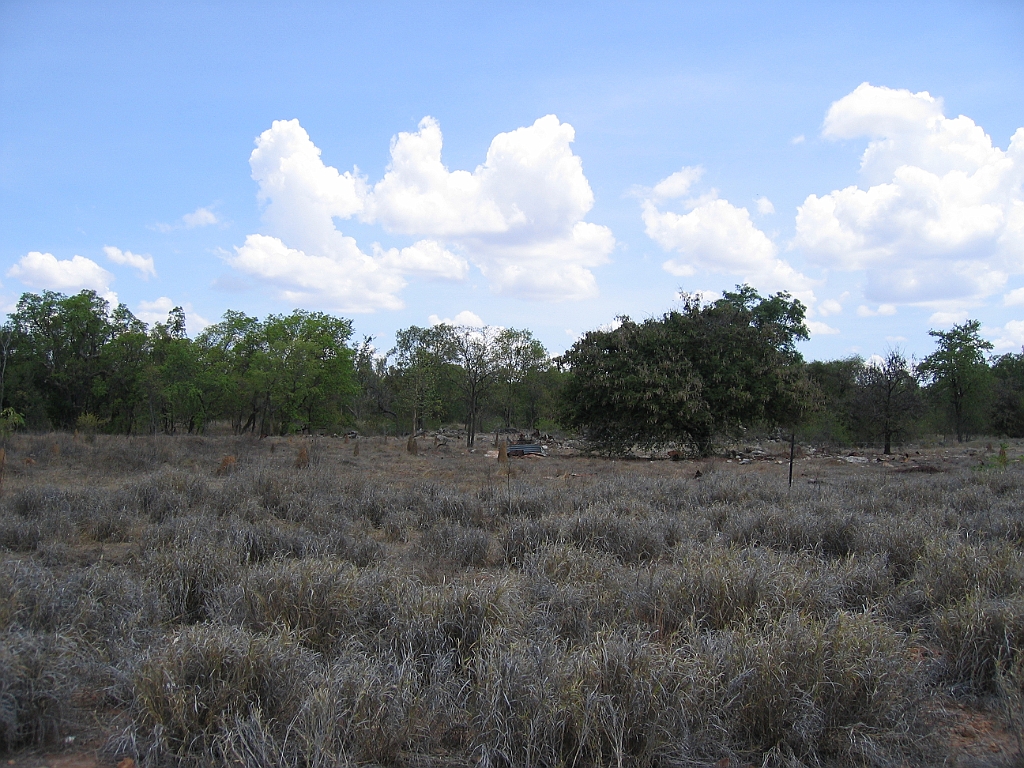 CairnsTC239 Tablelands.jpg